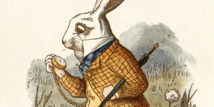 The queen cup-size rabbit hole